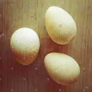 Guinea Hen Eggs