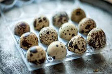 Load image into Gallery viewer, Quail Eggs